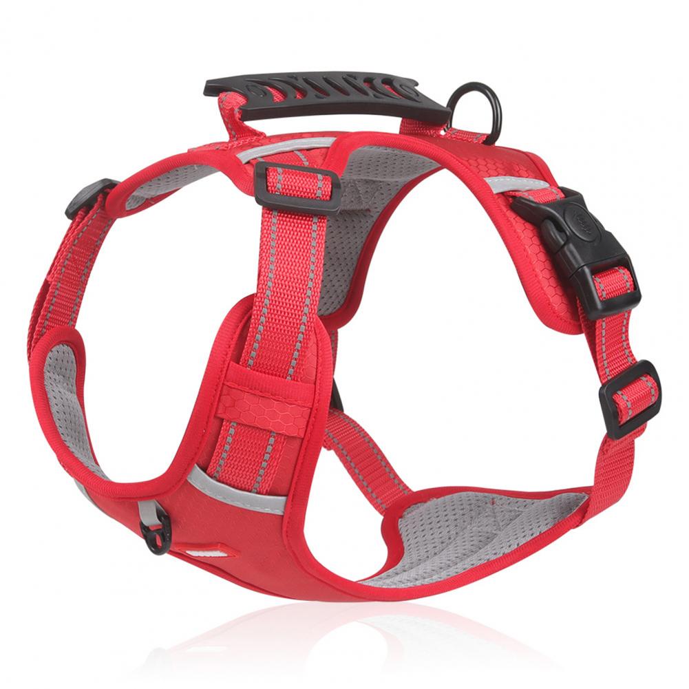 Adjustable No-Pull Harness for Small and Large Dogs