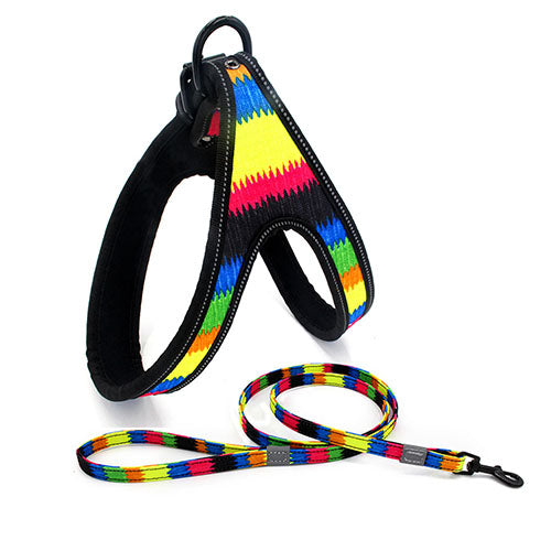 Strong Colorful Dog Walking Leash for Small and Medium Dogs