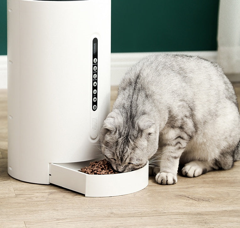 Timed Pet Feeder for Stress-Free, Healthy Feeding
