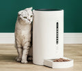 Timed Pet Feeder for Stress-Free, Healthy Feeding