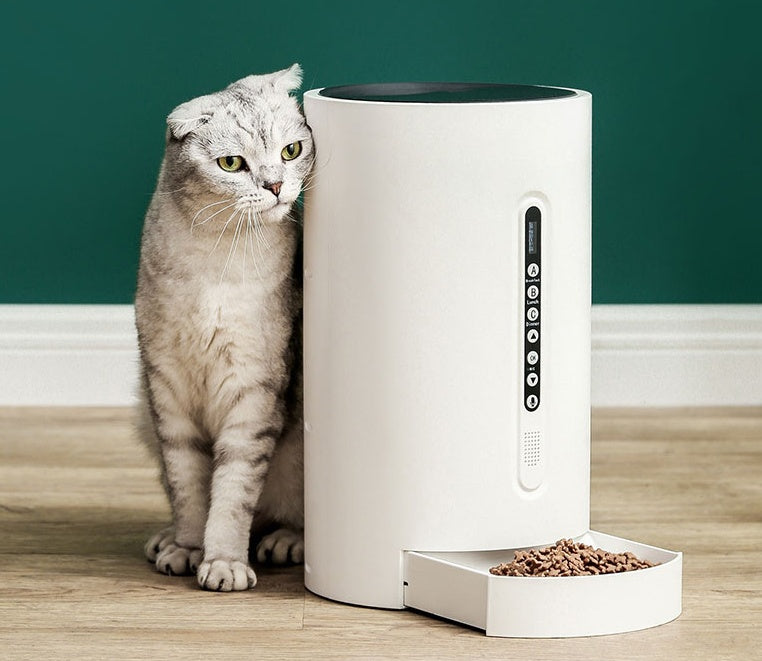 Timed Pet Feeder for Stress-Free, Healthy Feeding