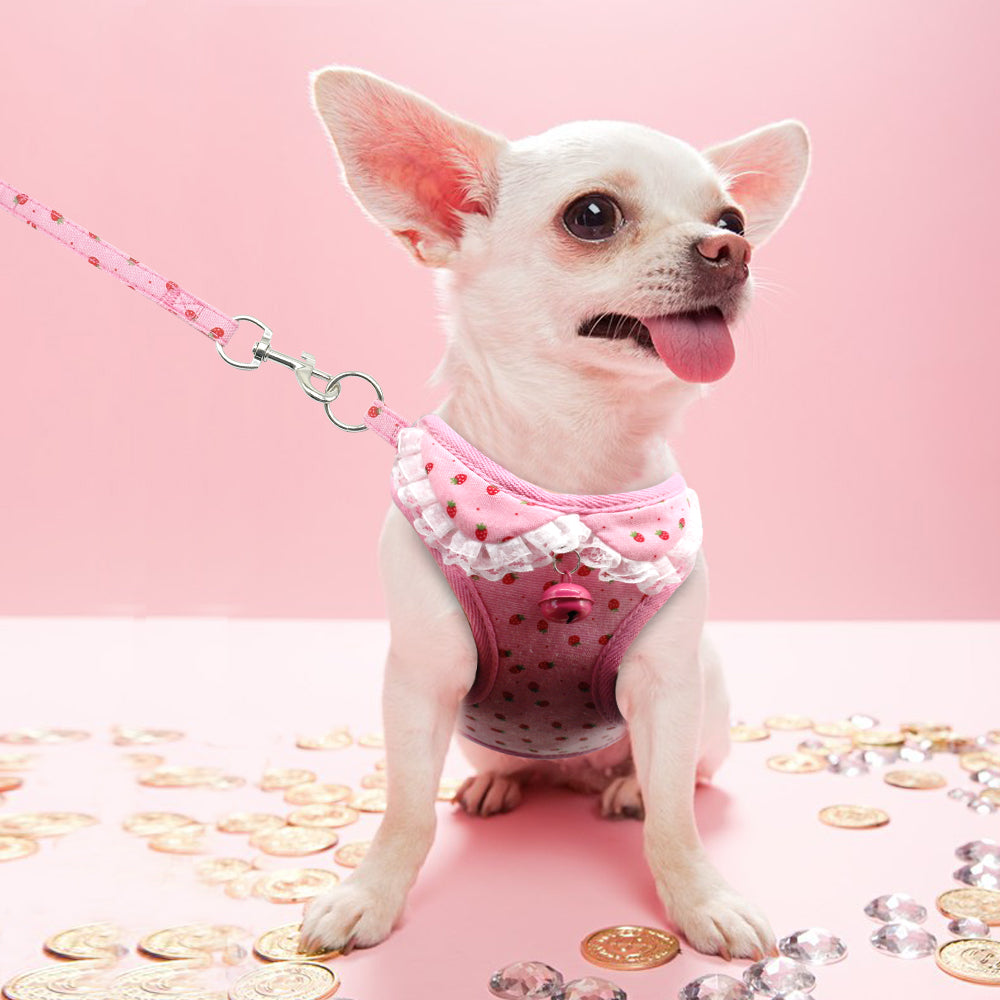Adorable Chest Harness with Bell for Small Dogs