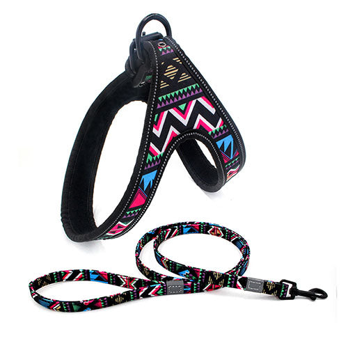 Strong Colorful Dog Walking Leash for Small and Medium Dogs
