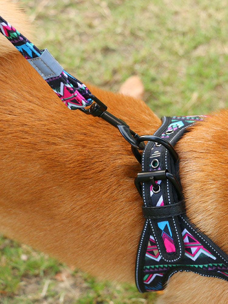 Strong Colorful Dog Walking Leash for Small and Medium Dogs