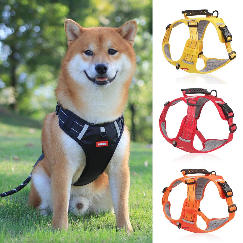 Adjustable No-Pull Harness for Small and Large Dogs