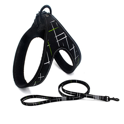 Strong Colorful Dog Walking Leash for Small and Medium Dogs