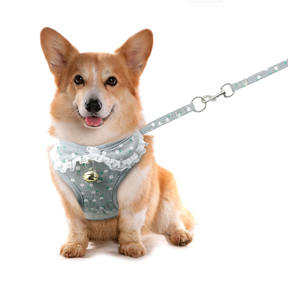 Adorable Chest Harness with Bell for Small Dogs