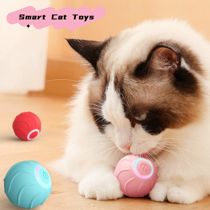 USB-Powered Self-Moving Cat Toy for Playful Pets
