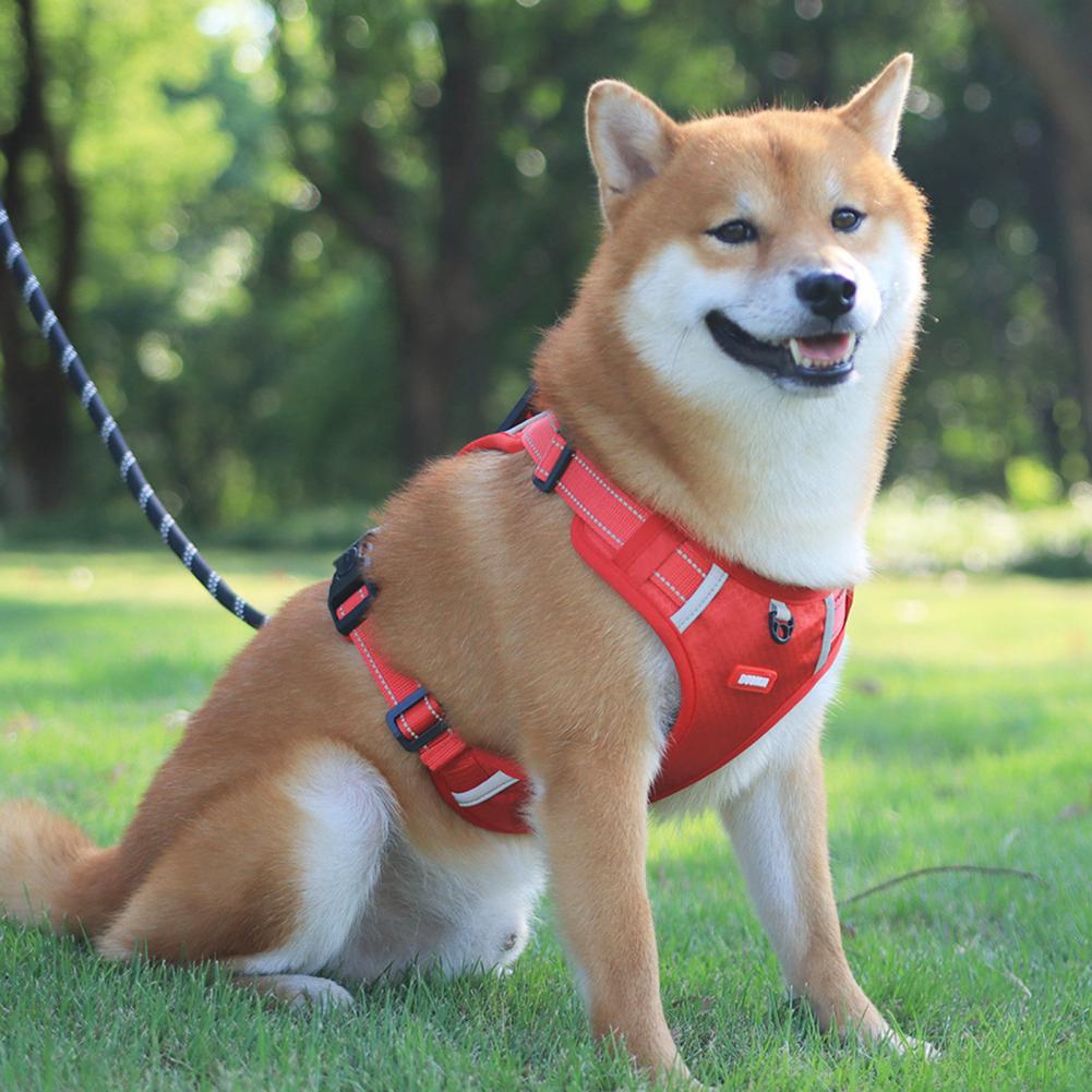 Adjustable No-Pull Harness for Small and Large Dogs