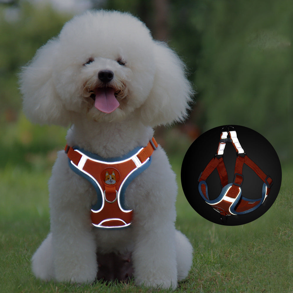 Cute and Comfortable Harness Leash Set for Small Dogs