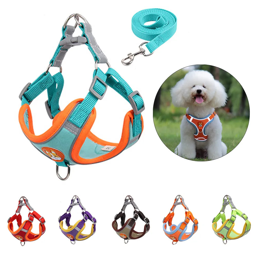 Cute and Comfortable Harness Leash Set for Small Dogs