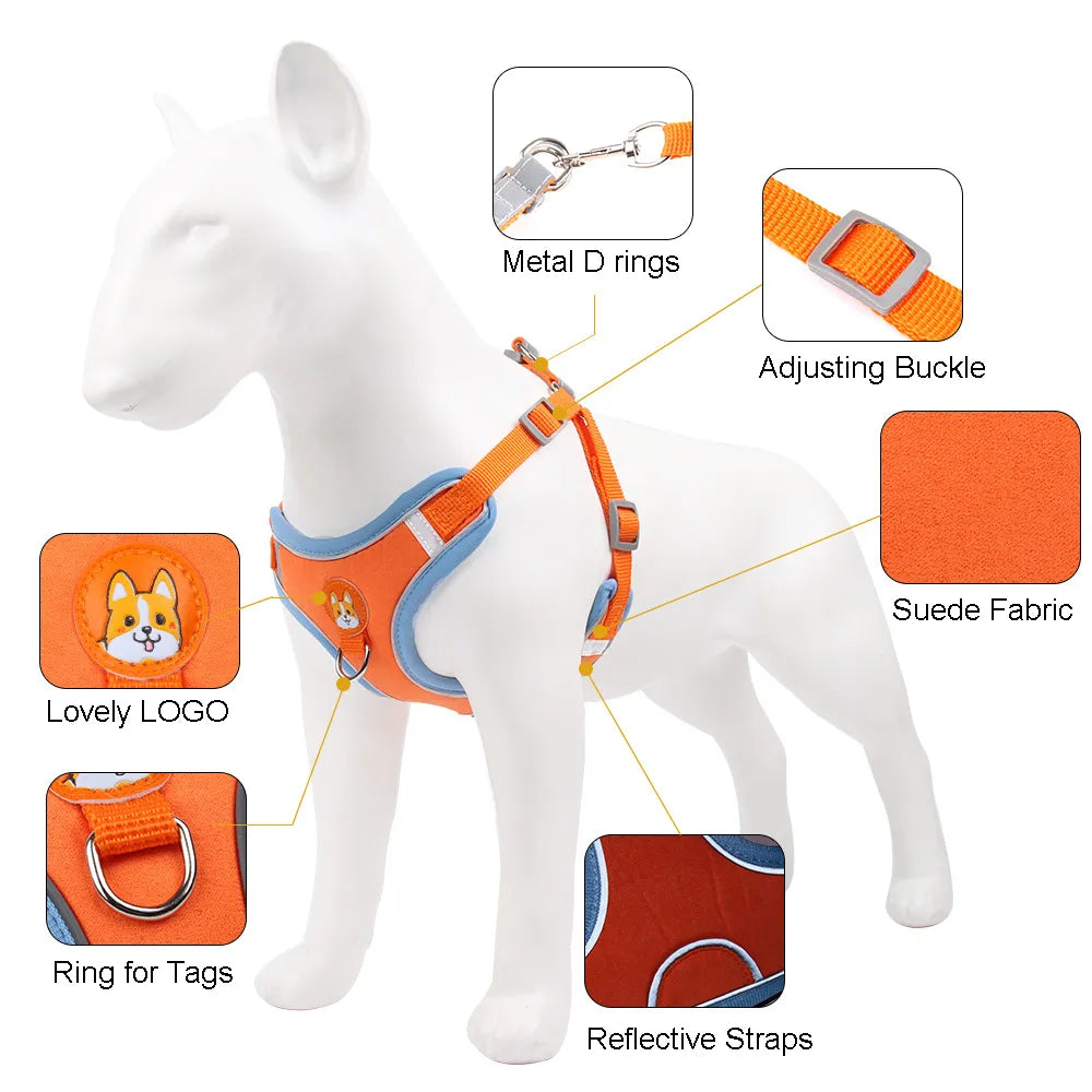 Cute and Comfortable Harness Leash Set for Small Dogs