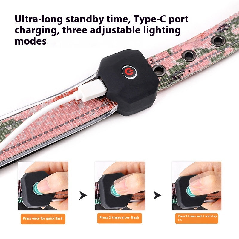 GlowSafe USB LED Dog Collar – Bright, Reflective & Comfortable