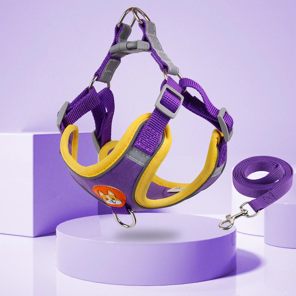 Cute and Comfortable Harness Leash Set for Small Dogs