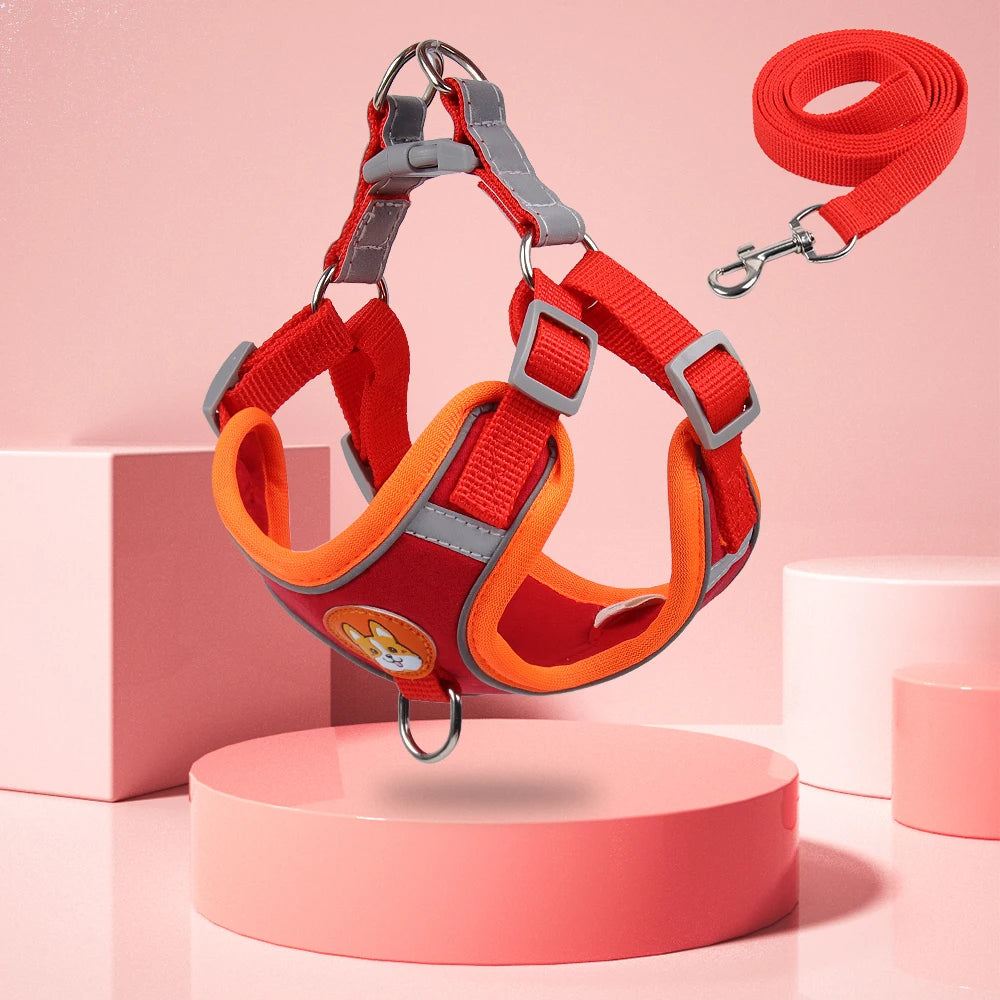 Cute and Comfortable Harness Leash Set for Small Dogs