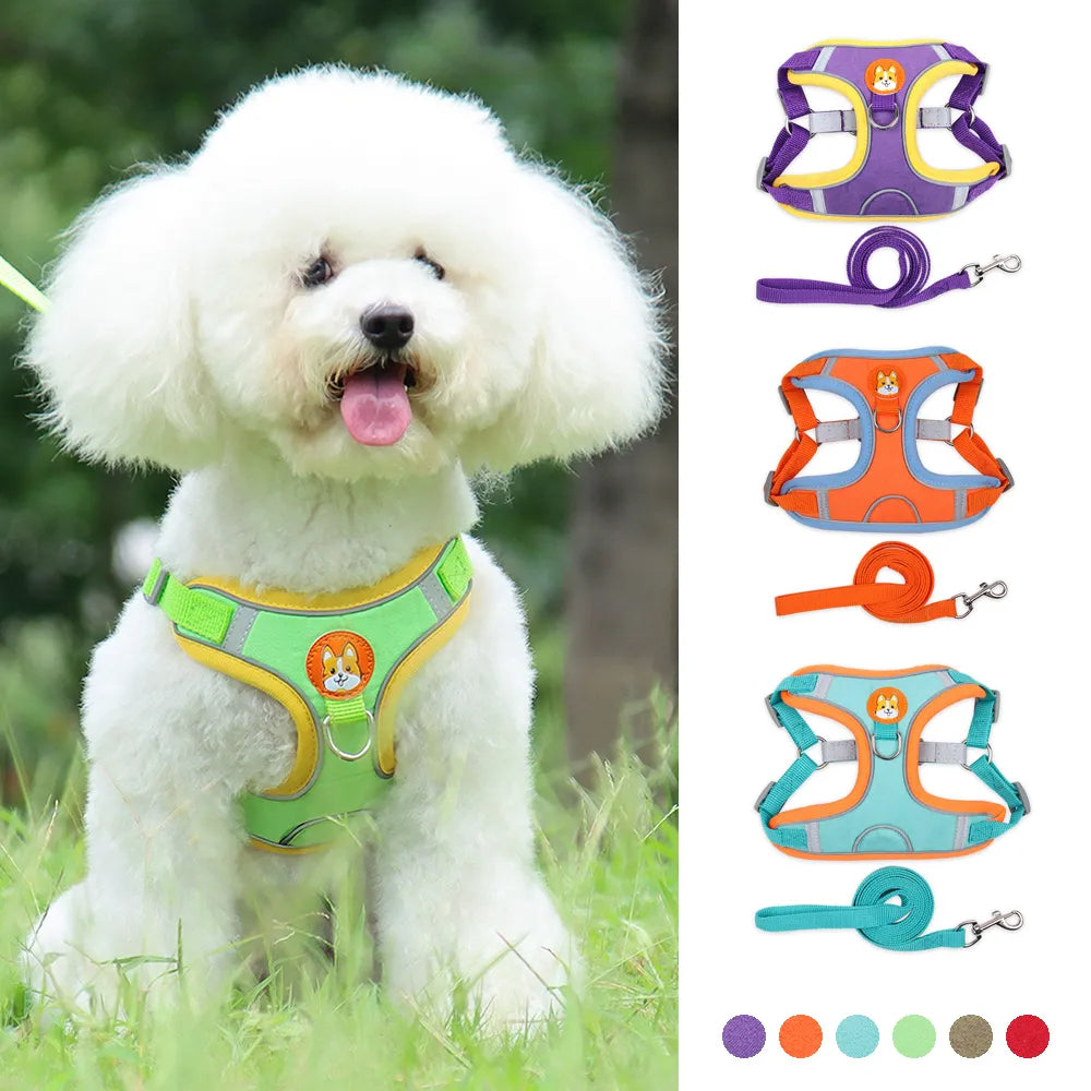 Cute and Comfortable Harness Leash Set for Small Dogs
