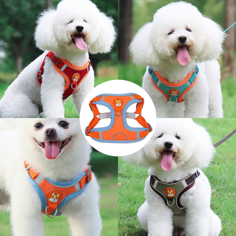 Cute and Comfortable Harness Leash Set for Small Dogs