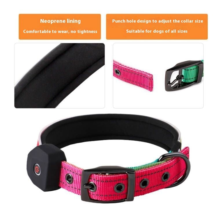 GlowSafe USB LED Dog Collar – Bright, Reflective & Comfortable