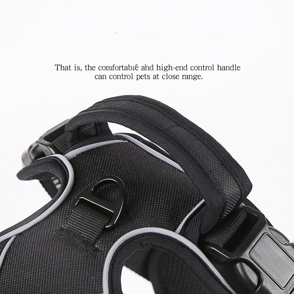 Breathable Pet Harness for Active Dogs