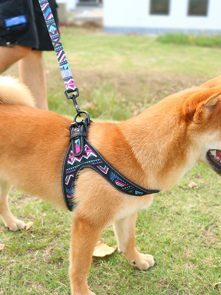 Strong Colorful Dog Walking Leash for Small and Medium Dogs