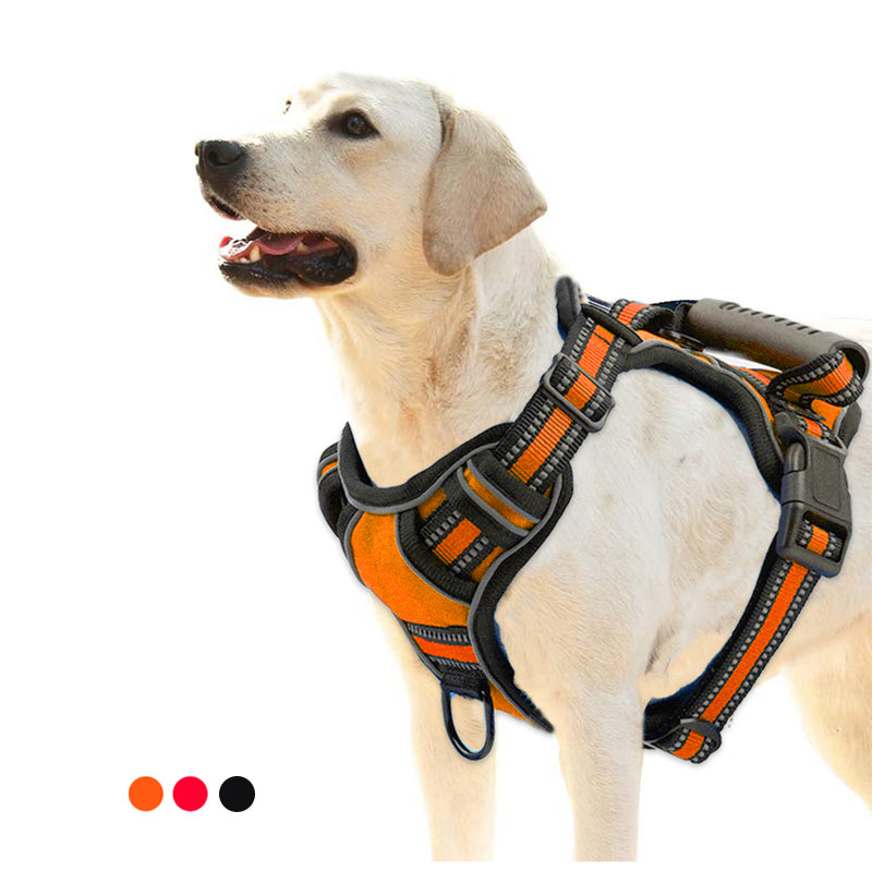 Breathable Pet Harness for Active Dogs