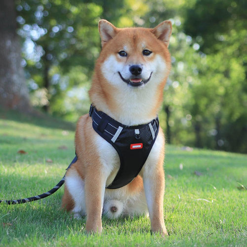 Adjustable No-Pull Harness for Small and Large Dogs