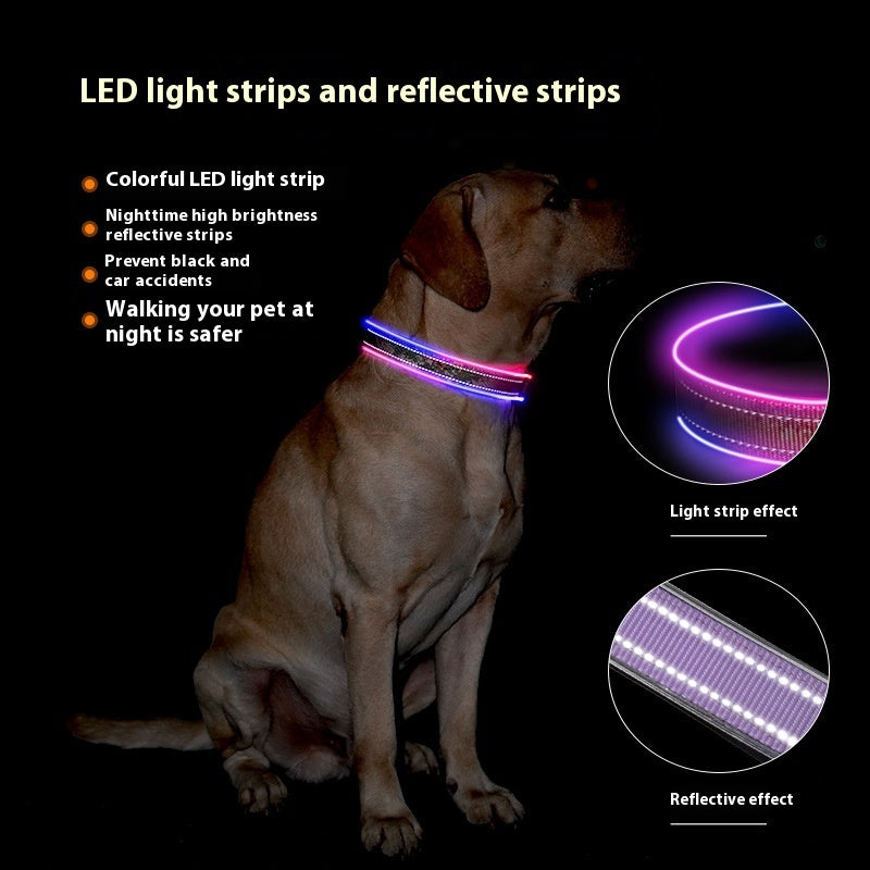 GlowSafe USB LED Dog Collar – Bright, Reflective & Comfortable