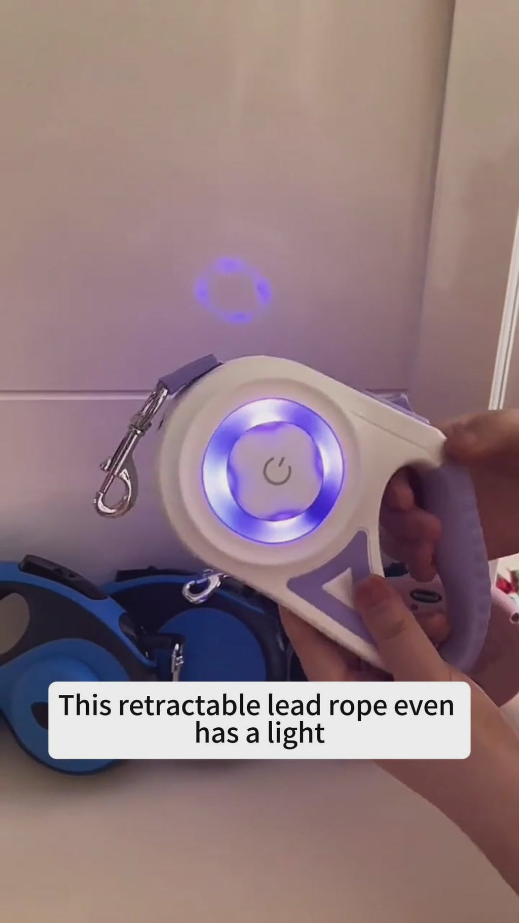 Automatic Pet Leash for Small and Medium Dogs