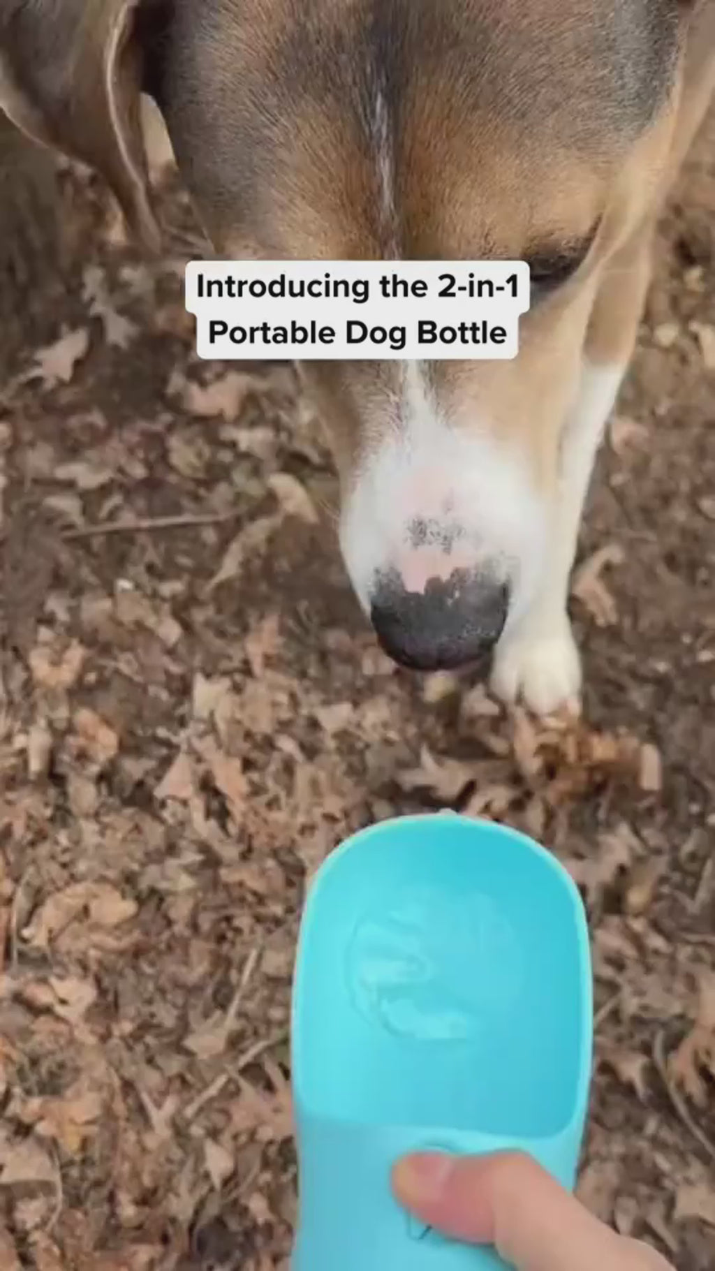 3-in-1 Pet Water, Food, and Poop Dispenser Bottle
