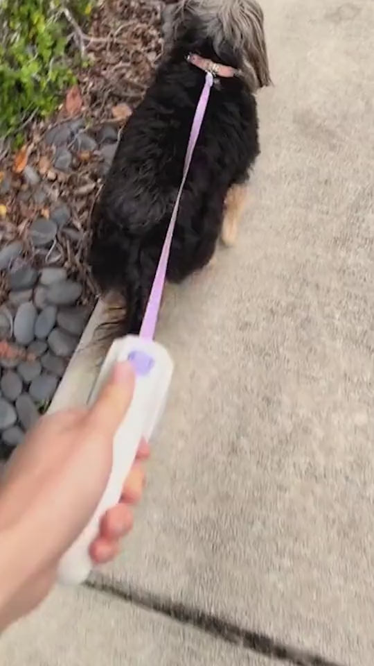 Automatic Pet Leash for Small and Medium Dogs