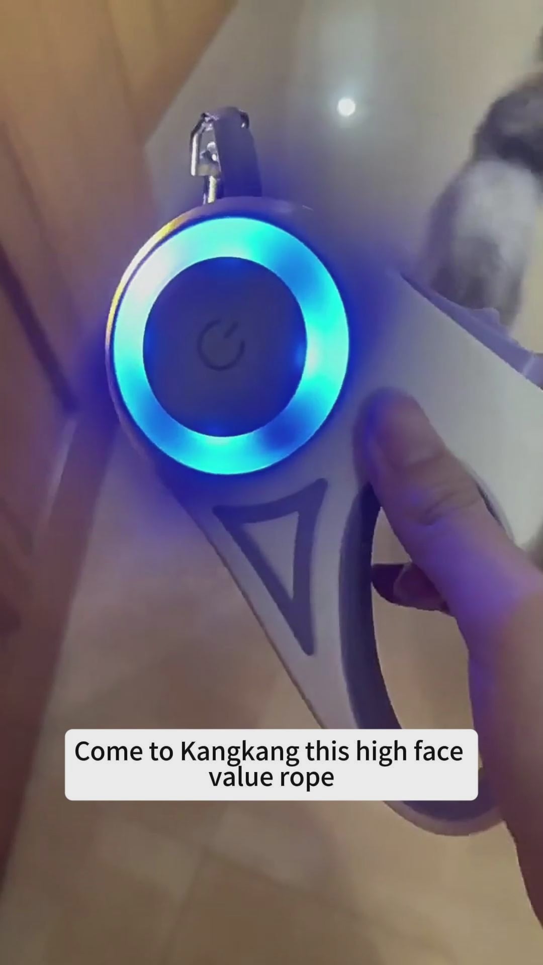 Automatic Pet Leash for Small and Medium Dogs