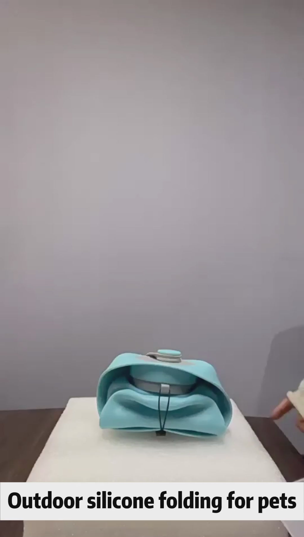 Foldable Travel Water Dispenser for Pets on the Go