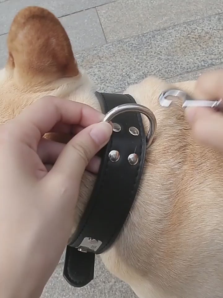 Automatic Pet Leash for Small and Medium Dogs