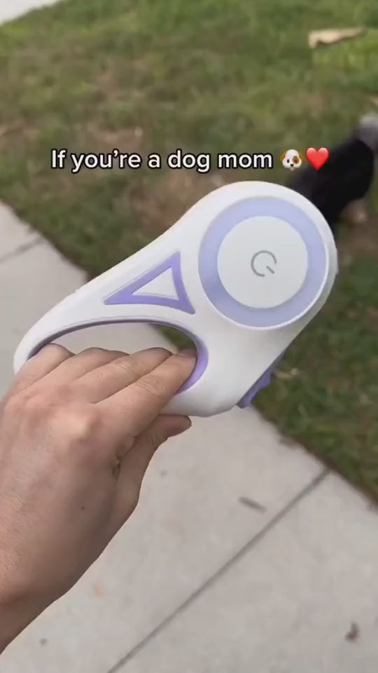 Automatic Pet Leash for Small and Medium Dogs