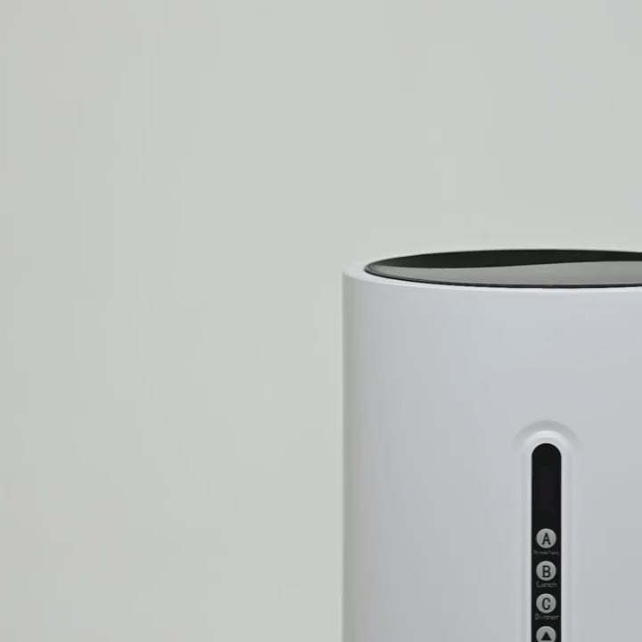 Timed Pet Feeder for Stress-Free, Healthy Feeding