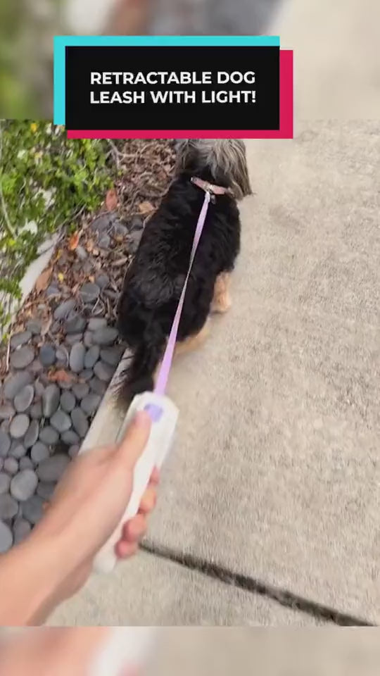 Automatic Pet Leash for Small and Medium Dogs