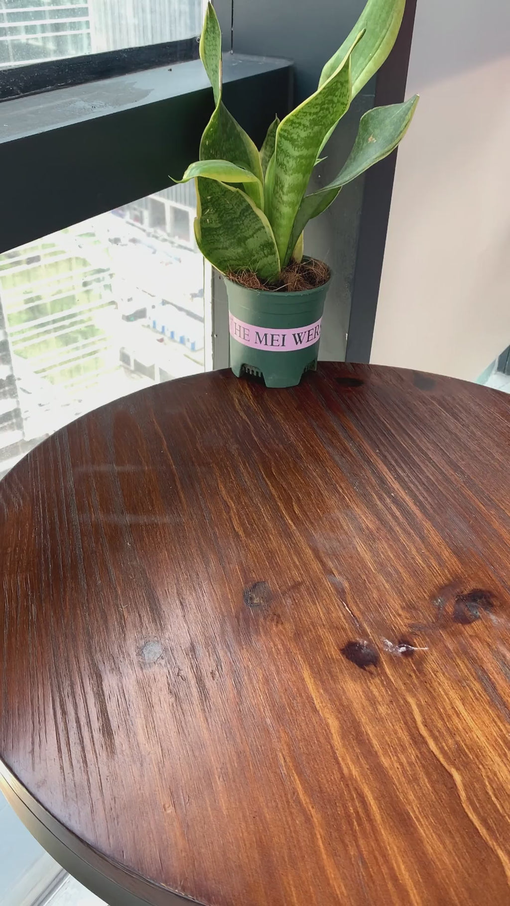 3-in-1 Pet Water, Food, and Poop Dispenser Bottle