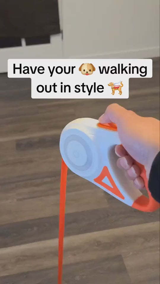 Automatic Pet Leash for Small and Medium Dogs